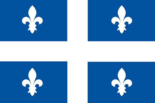 Logo Consejo de Reglaentación de Consultantes de Canadá